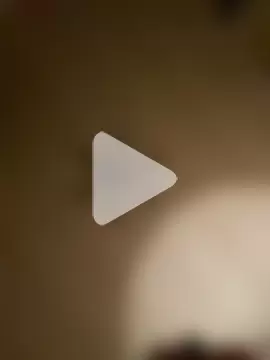 STRIPsegale photo 20