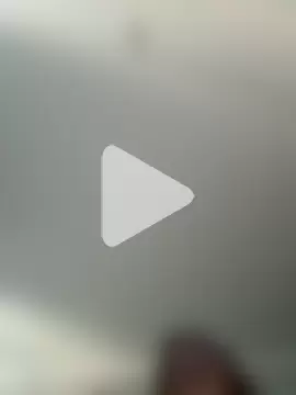 Sabrina_shells photo 8