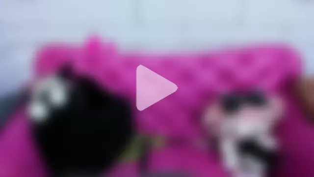 SafiroAgataaa photo 27