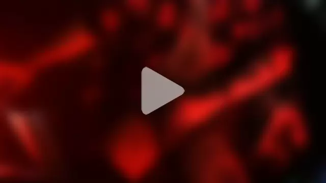 Saintscurse photo 11