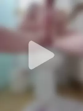 Salsicha244 photo 20