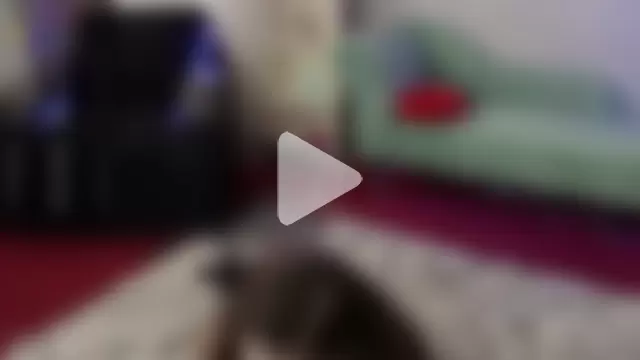 SamaraShadow photo 28