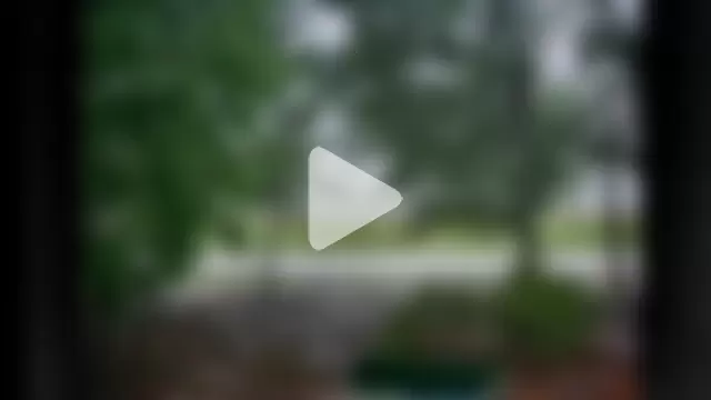 Samaraa_Lee photo 30