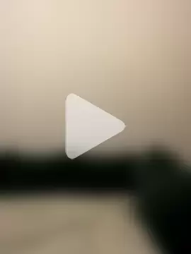 SamiraSchulz photo 19