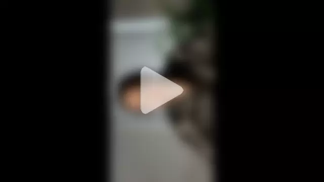 Sarahsolara photo 17