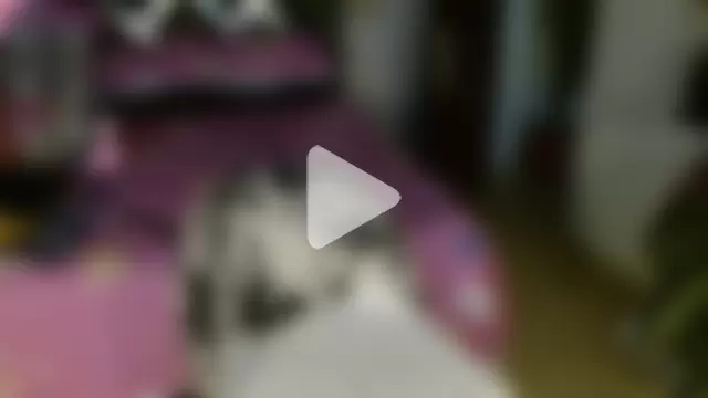 SarithaBunny photo 14