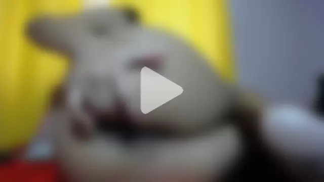 ScarleHot4ux photo 28