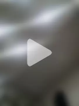 Scarlet_curly photo 13