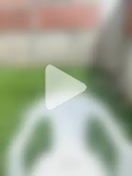 Scarlett-Leh photo 21