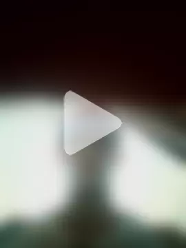 Scorpion_22cm photo 8