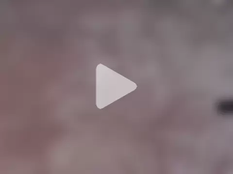 SelenaNoirr photo 13