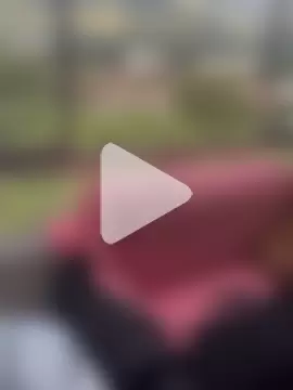 Selene_Wings22 photo 22