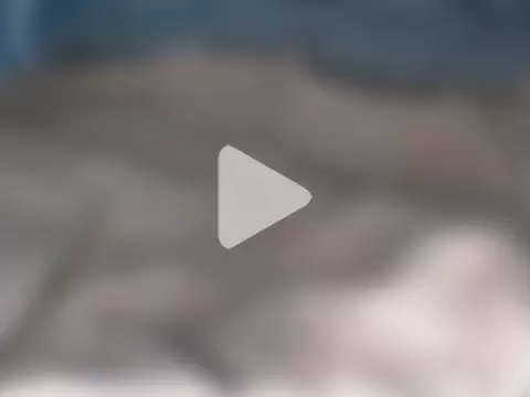 Sensational_grip photo 19