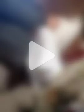 Serapitocojelon photo 10