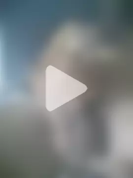 SexedFlatworm photo 23