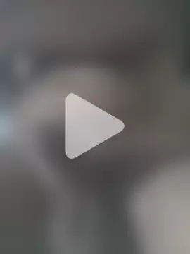 SexedFlatworm photo 20