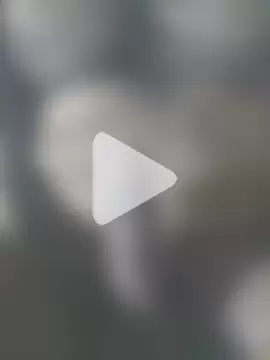 SexedFlatworm photo 16