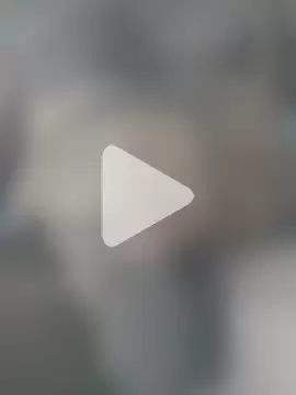 SexedFlatworm photo 5