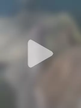 SexedFlatworm photo 3