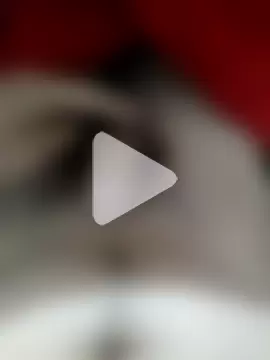 Sexopiperico photo 3