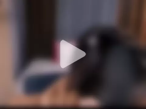 SexyMariaa photo 21