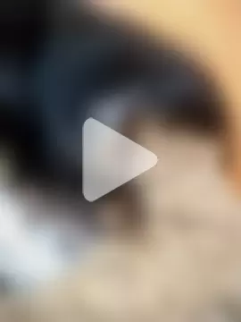 Sexy_Divya__ photo 22