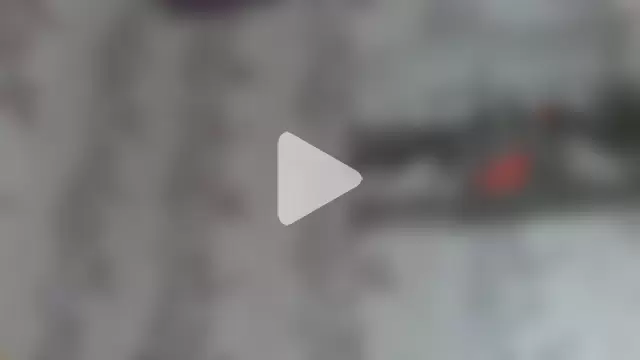 Shailadiess photo 10