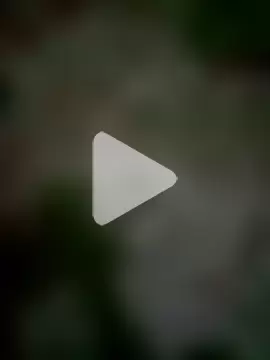 ShaniNsula2026 photo 3