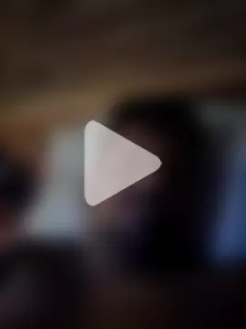 Shanputhanewdog photo 2