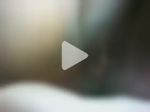 Sharlene777 photo 18