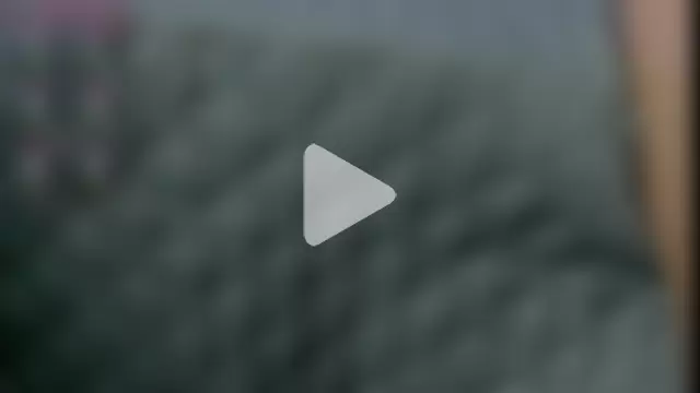 Sharlott_smith photo 21