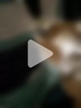 Sharmasamba photo 13