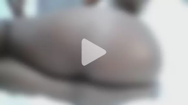 ShatraKaleesi photo 18