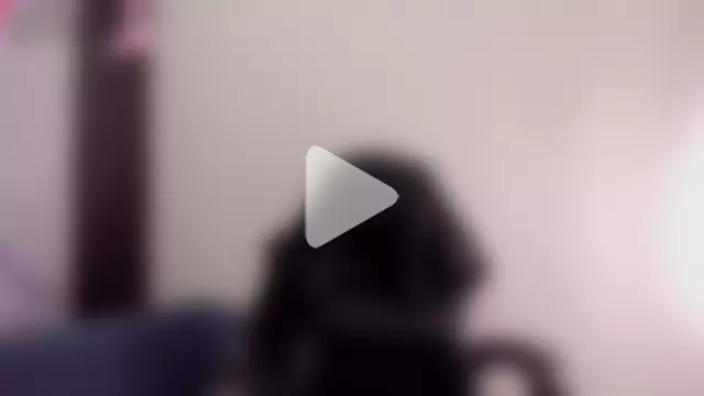 ShaunaDream photo 29