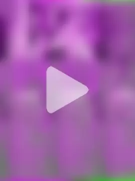 ShawnandDani7074 photo 9