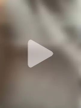 Shayla--broos photo 1