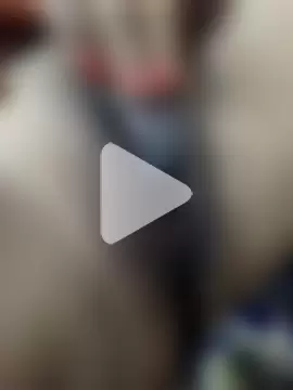 Sheela_Sex90 photo 4