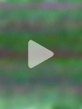 Shelas_room_official photo 3