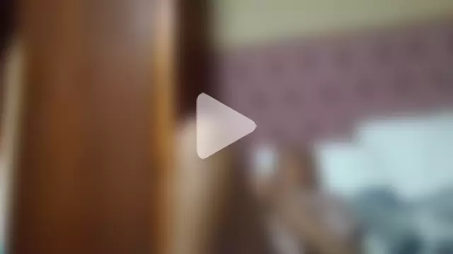 ShooingBunch photo 22