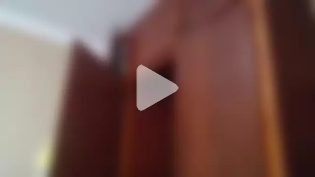 ShooingBunch photo 14