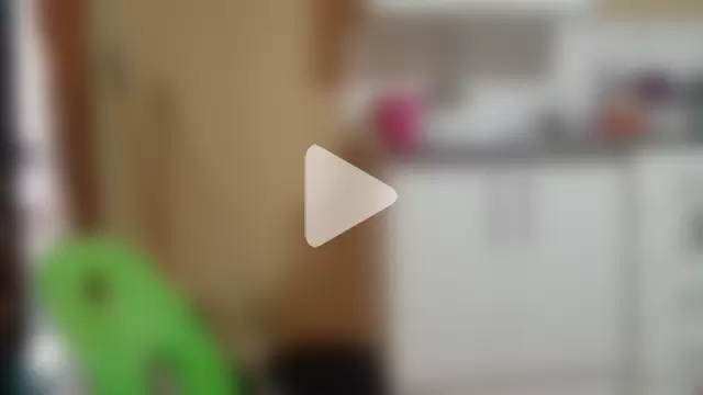 ShooingBunch photo 9