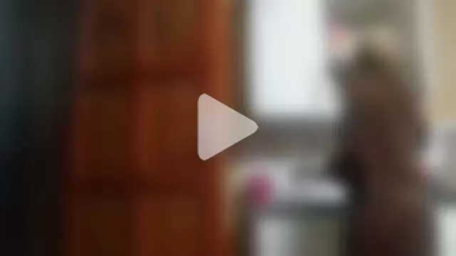 ShooingBunch photo 23