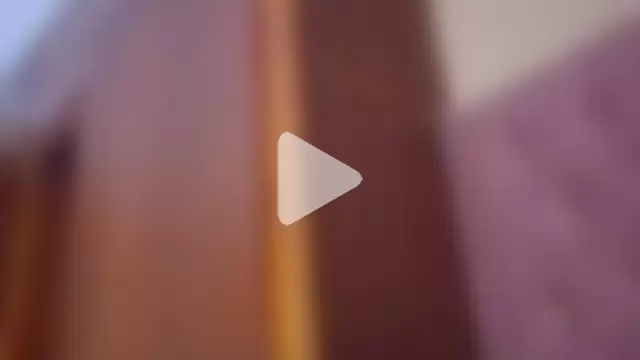 ShooingBunch photo 22