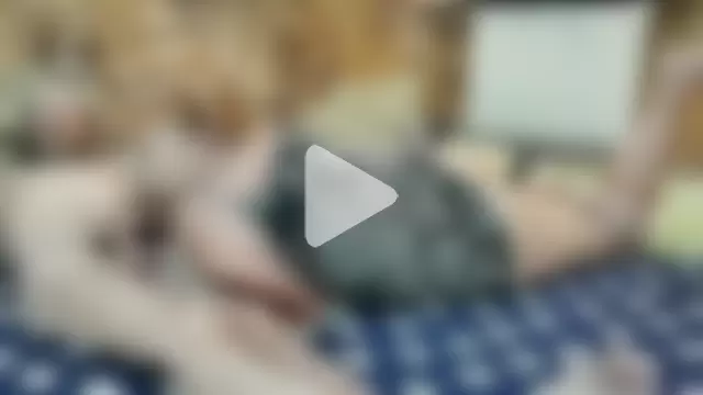 Siberia-Taiga photo 2