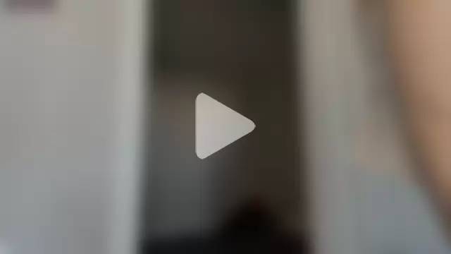 SibleyBurner photo 12