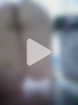 SightsedMuscadet photo 5