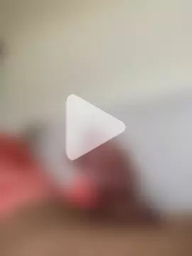 Sikici17cm555 photo 15