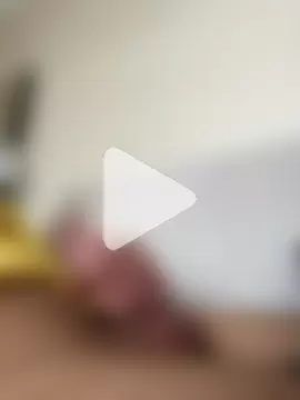 Sikici17cm555 photo 1