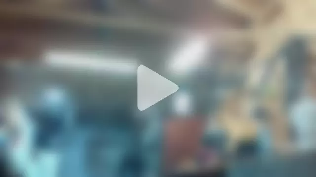 SillyRabbitz photo 21