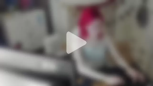 Silly__Milly photo 3